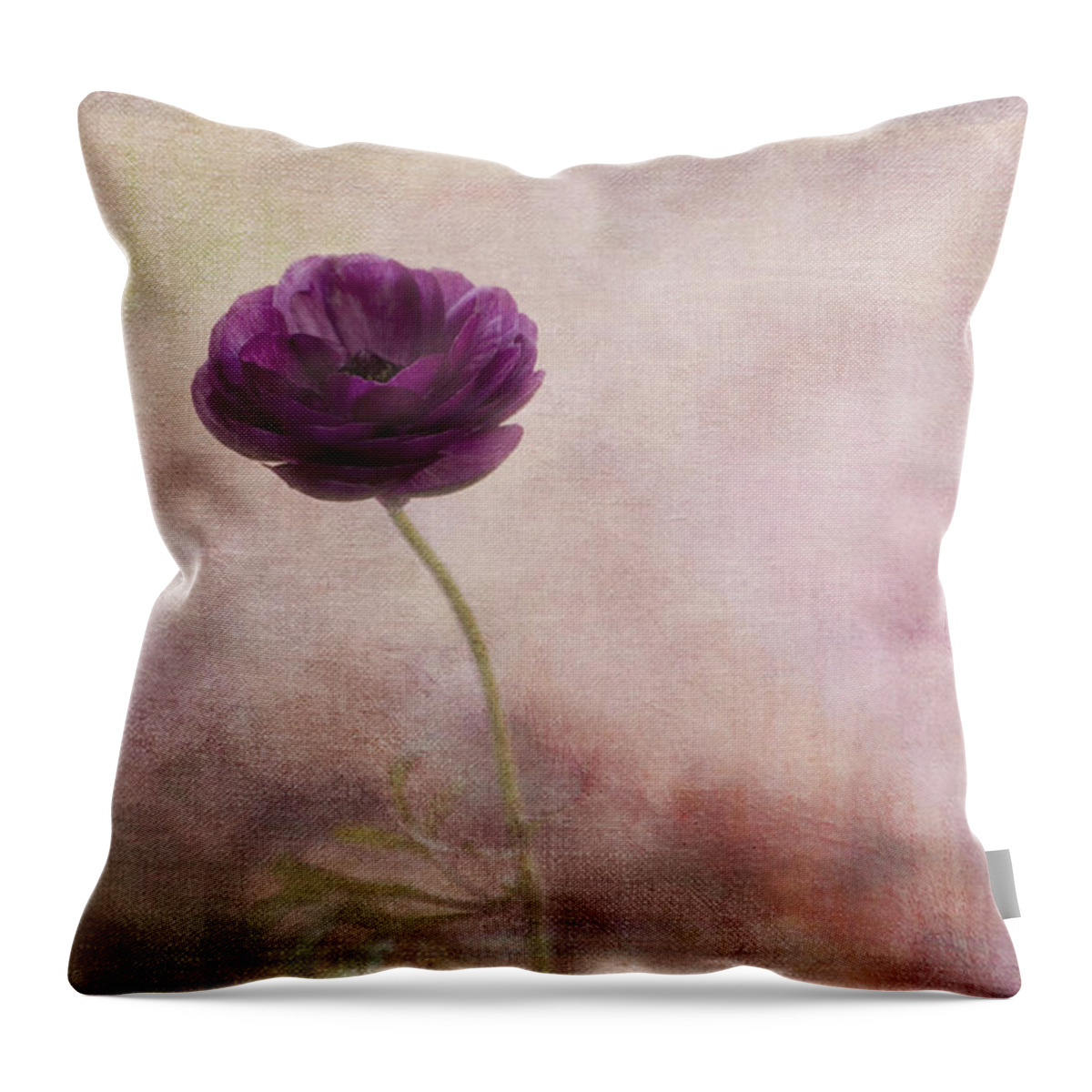 Minimalistic Throw Pillow featuring the photograph Ranuncula by Bonnie Bruno