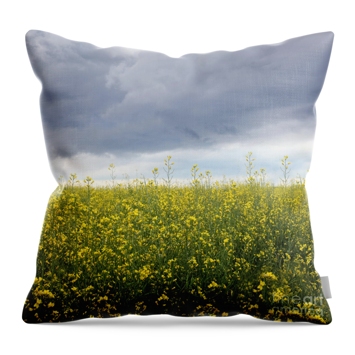 Agriculture Throw Pillow featuring the photograph Rapeseed flower field with storm clouds by Sandra Cunningham