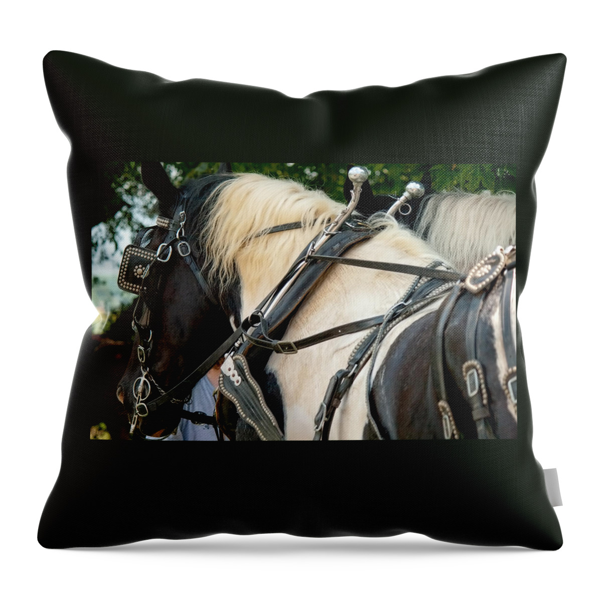 Horse Throw Pillow featuring the photograph Rascal by Kristia Adams