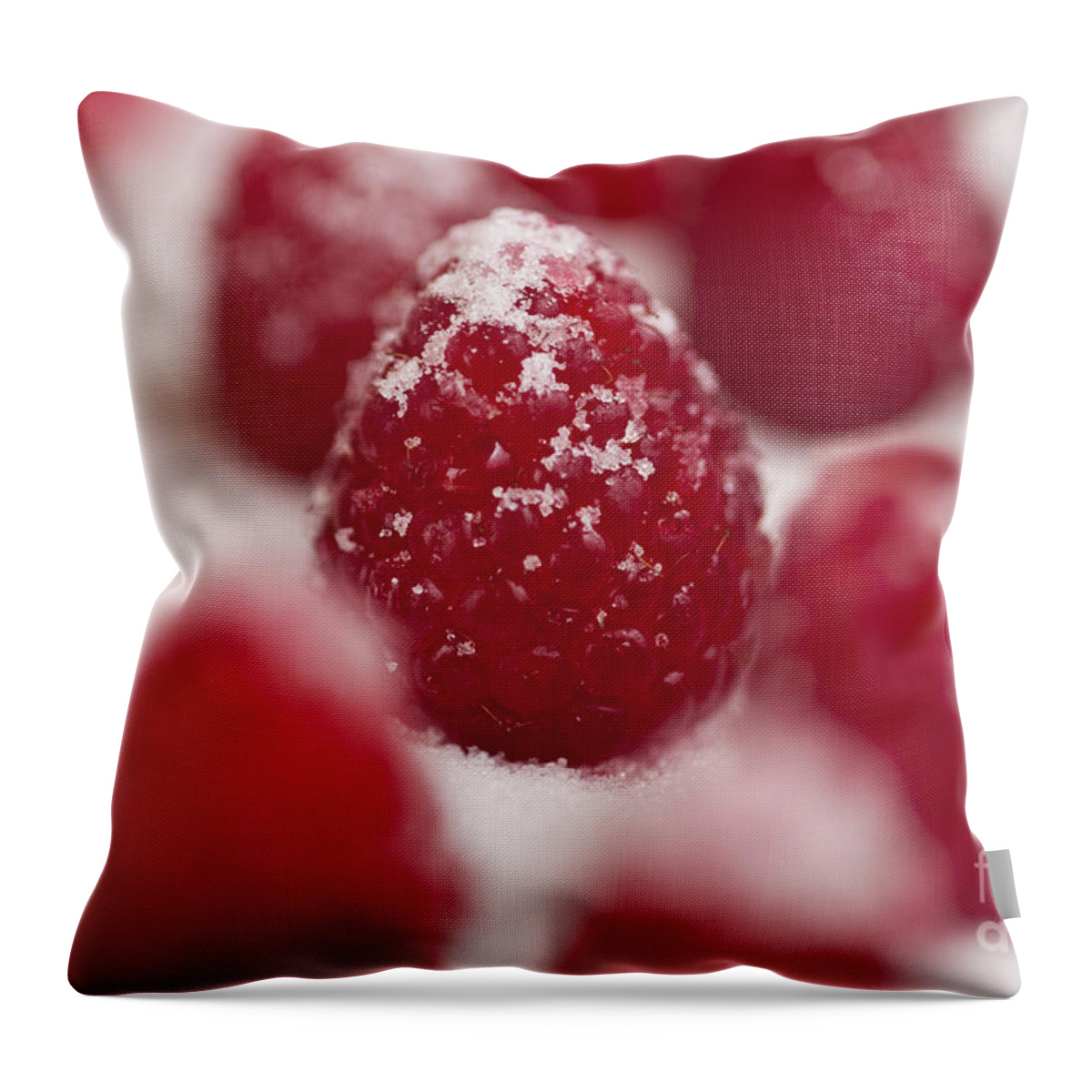 Abundance Throw Pillow featuring the photograph Raspberries Sprinkled With Sugar by Jim Corwin
