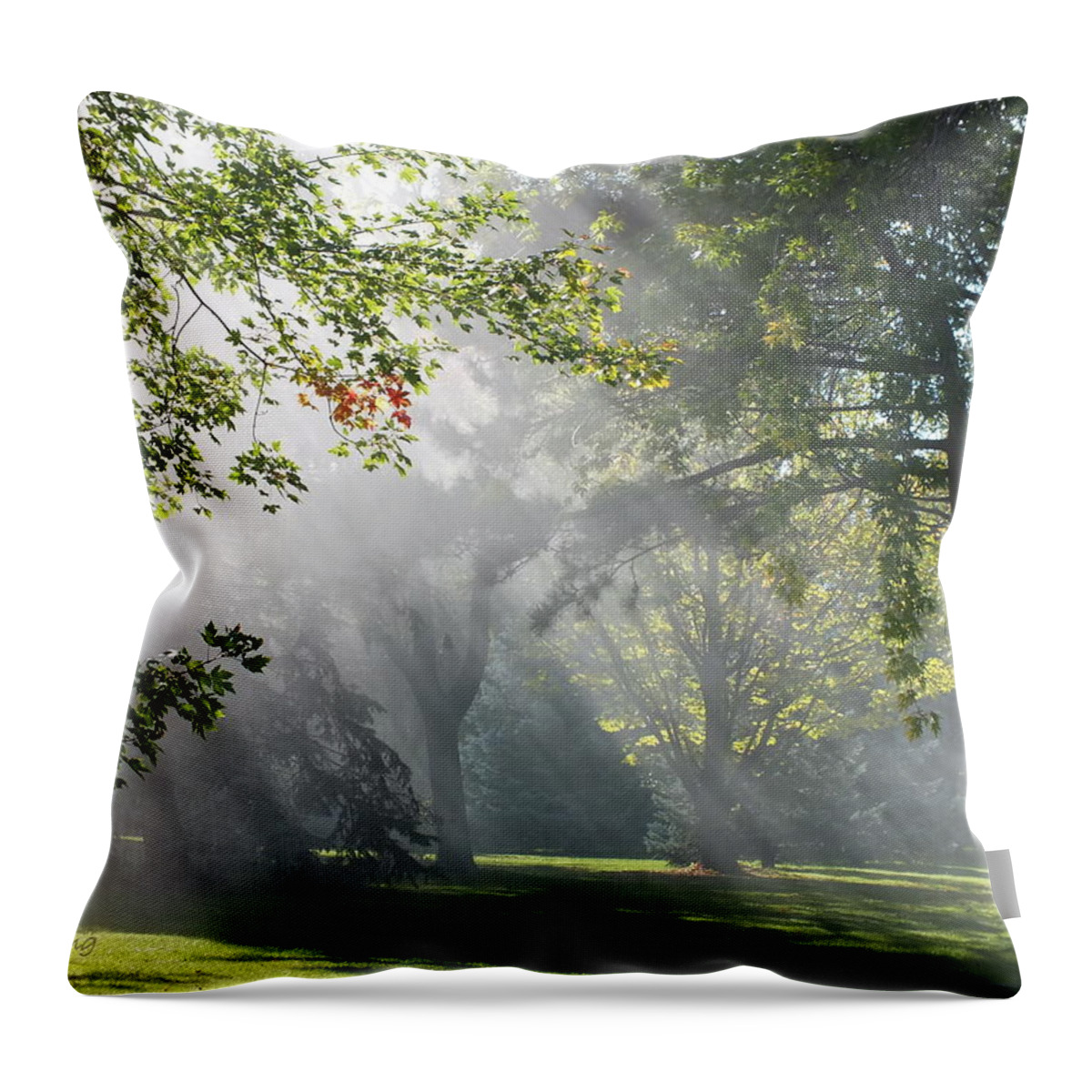 Sunshine Throw Pillow featuring the photograph Rays in the Haze by Peggy King