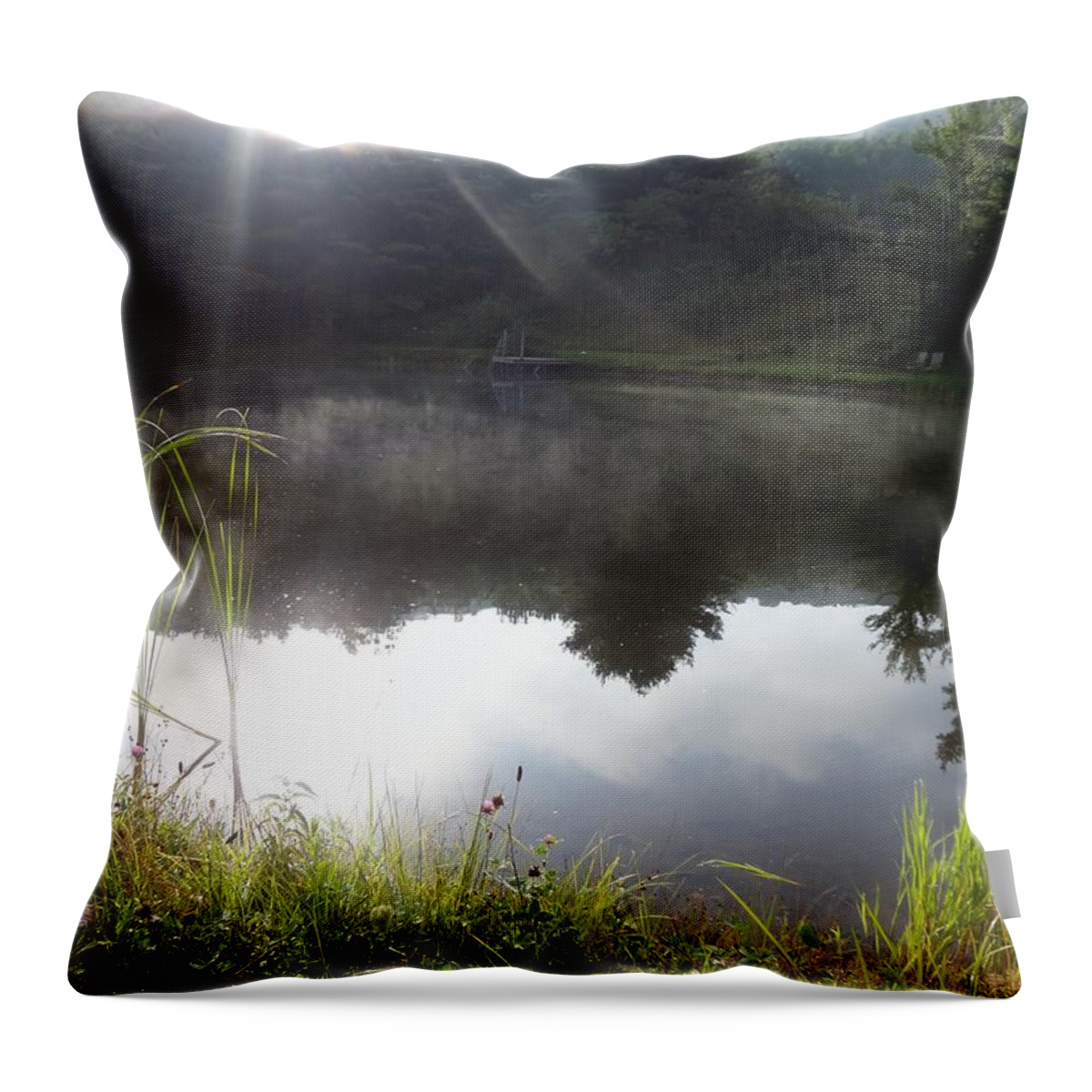 Sunshine Throw Pillow featuring the photograph Rays of sunshine by Michael Porchik