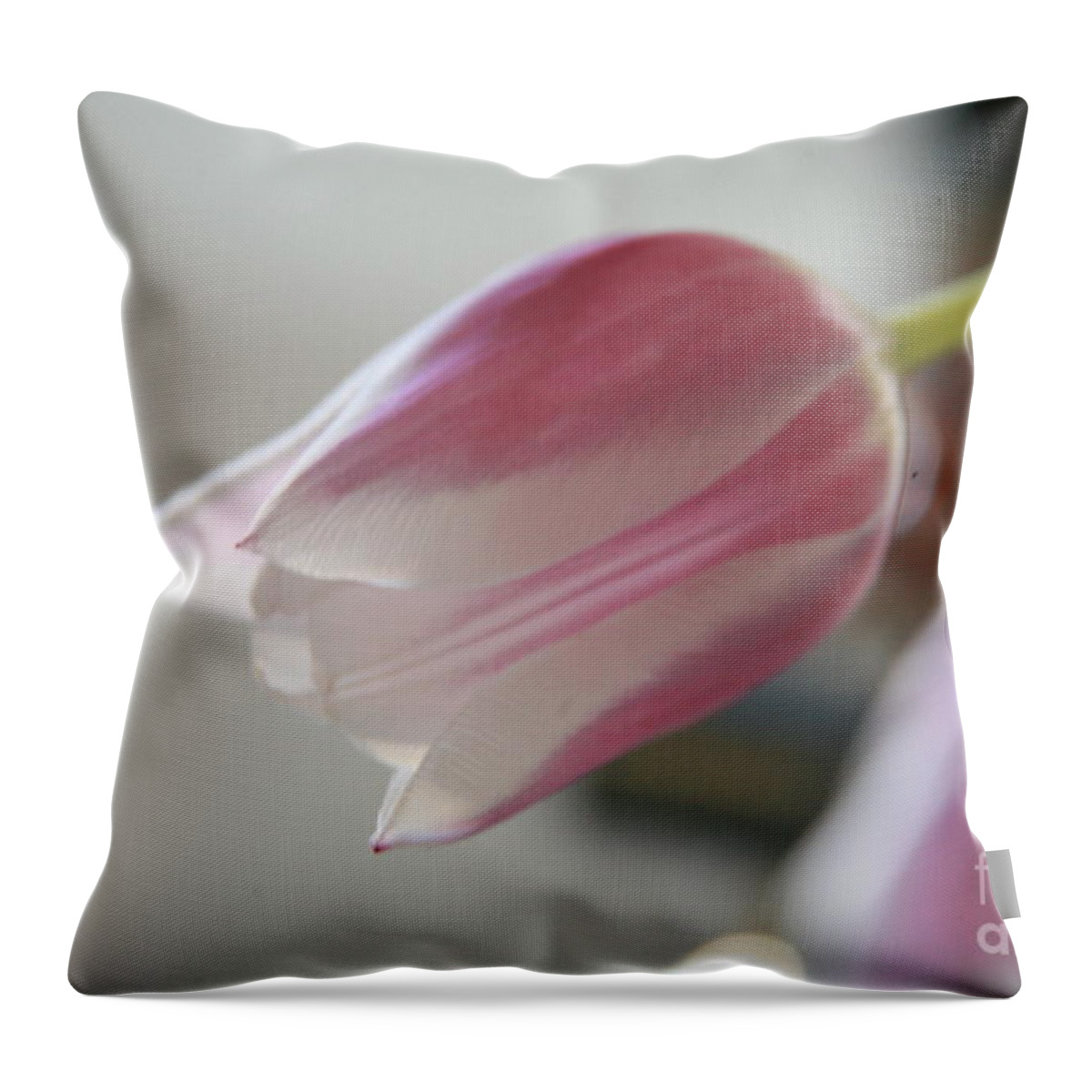 Tulip Throw Pillow featuring the photograph Reach #3 by Lynn England