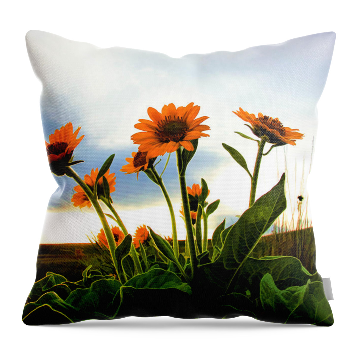 Wild Flowers Throw Pillow featuring the photograph Reach To The Heavens II by Athena Mckinzie