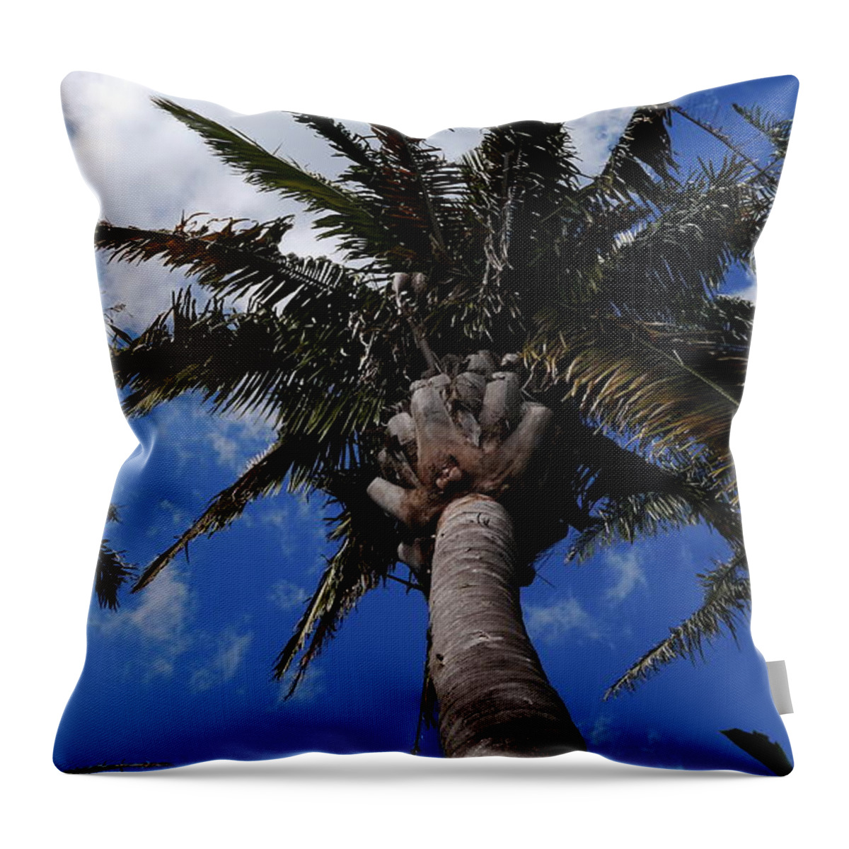Palm Throw Pillow featuring the photograph Reaching For The Sky by Christiane Schulze Art And Photography
