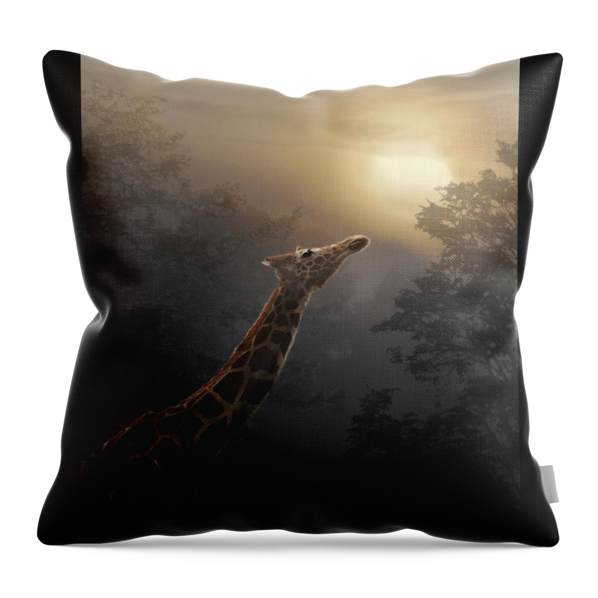 Giraffe Throw Pillow featuring the photograph Reaching by Melinda Hughes-Berland