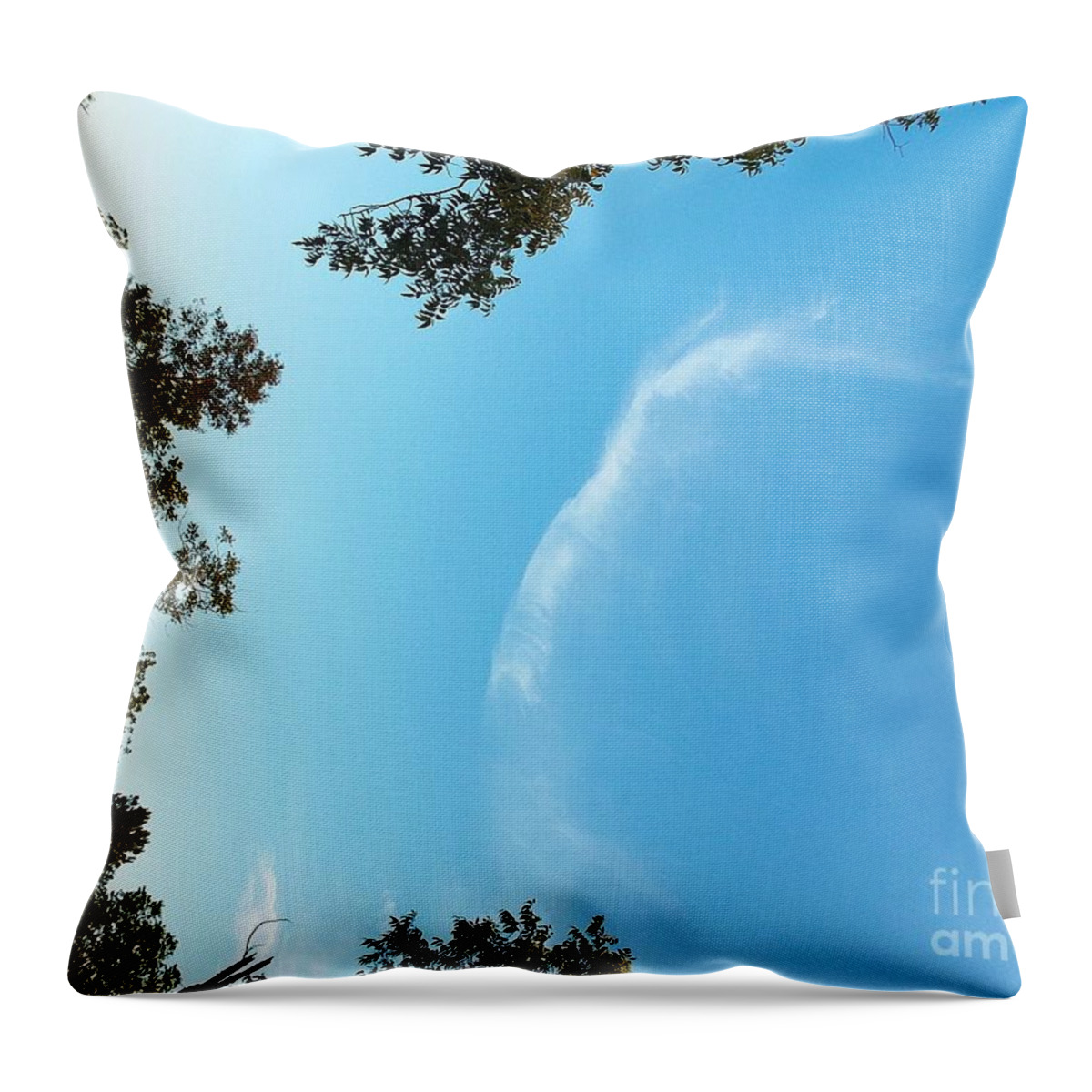 Angel Throw Pillow featuring the photograph Reaching Out Over Meadow by Matthew Seufer