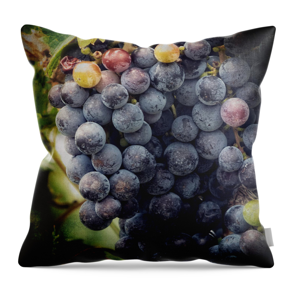 Merlot Throw Pillow featuring the photograph Ready for Harvest by Lucinda Walter