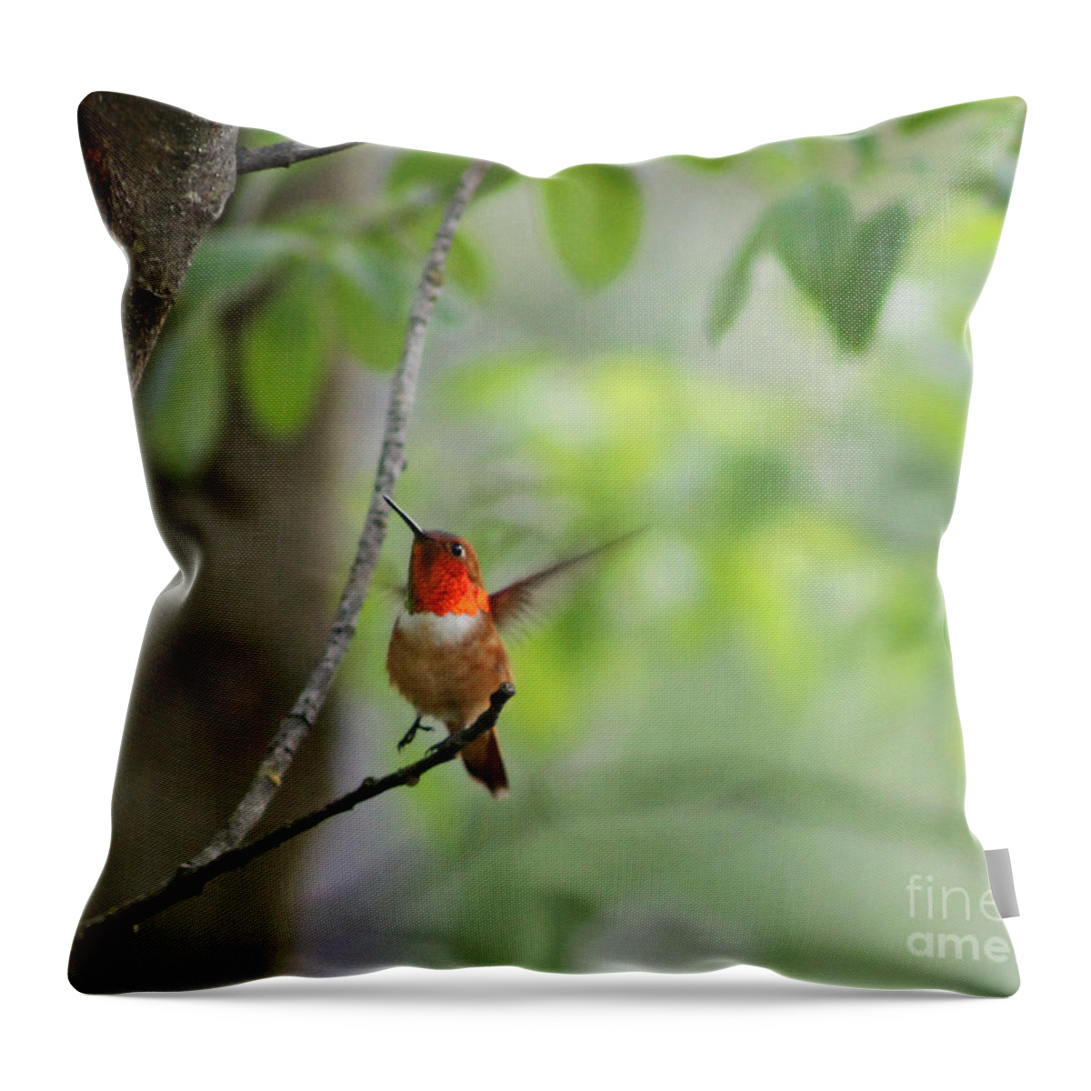 Hummingbird Throw Pillow featuring the photograph Ready for Take-Off by Leone Lund