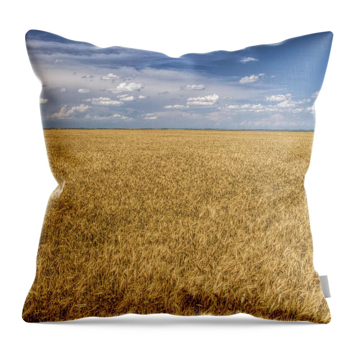 Kansas Throw Pillow featuring the photograph Ready to Harvest by Rob Graham