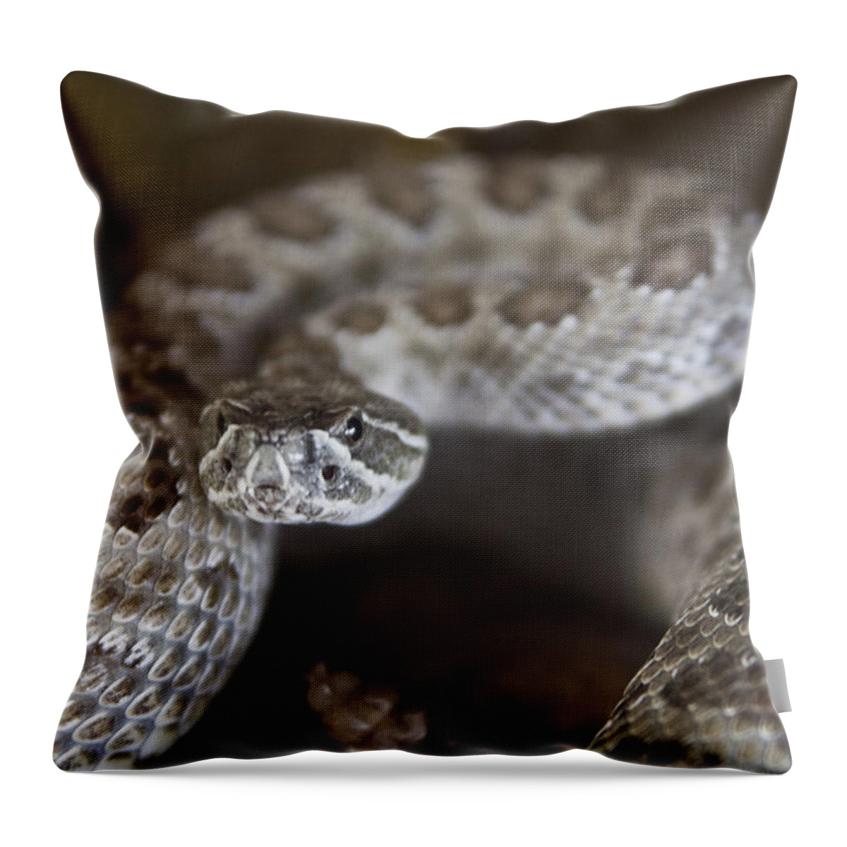 Rattler Throw Pillow featuring the photograph A Rattlesnake Thats Ready to Strike by Steve Triplett