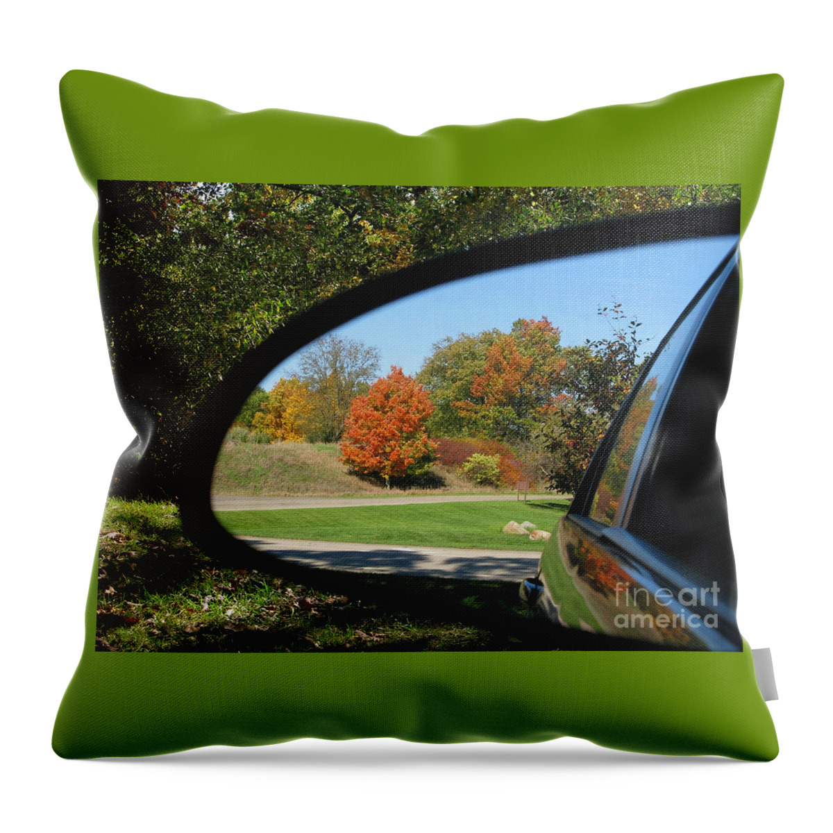 Autumn Throw Pillow featuring the photograph Rear View by Ann Horn