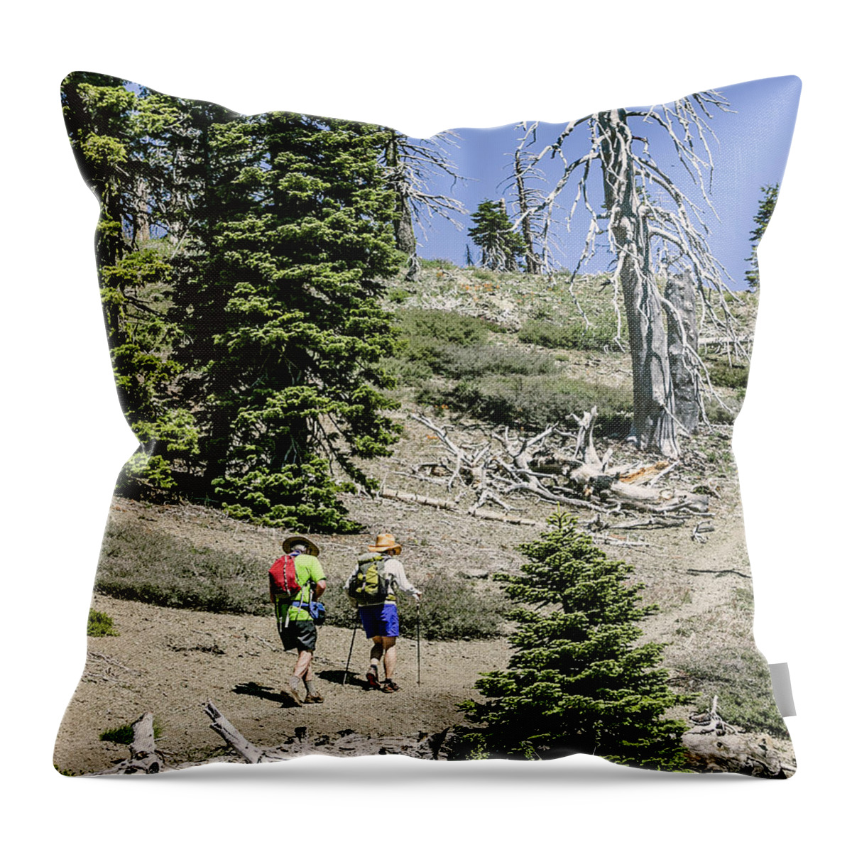 Mountain Throw Pillow featuring the photograph Rear View Of Two Day Hikers by Ron Koeberer