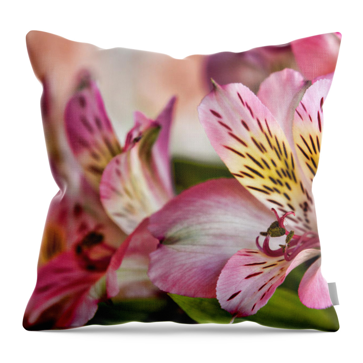 Delight Throw Pillow featuring the photograph Rebecca's by Lana Trussell
