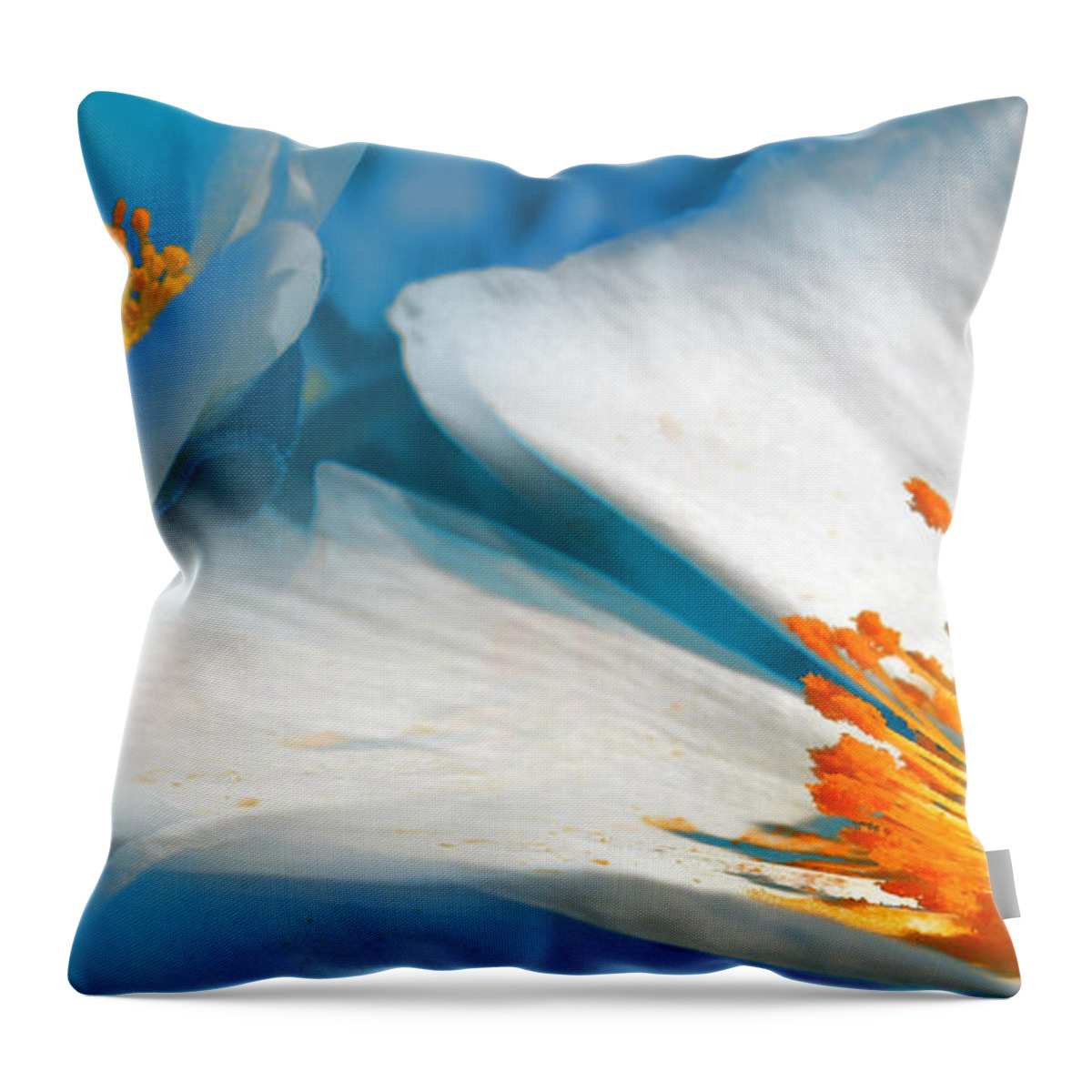 Flores Artisticas Throw Pillow featuring the photograph Recuerdos de la Primavera by Alfonso Garcia