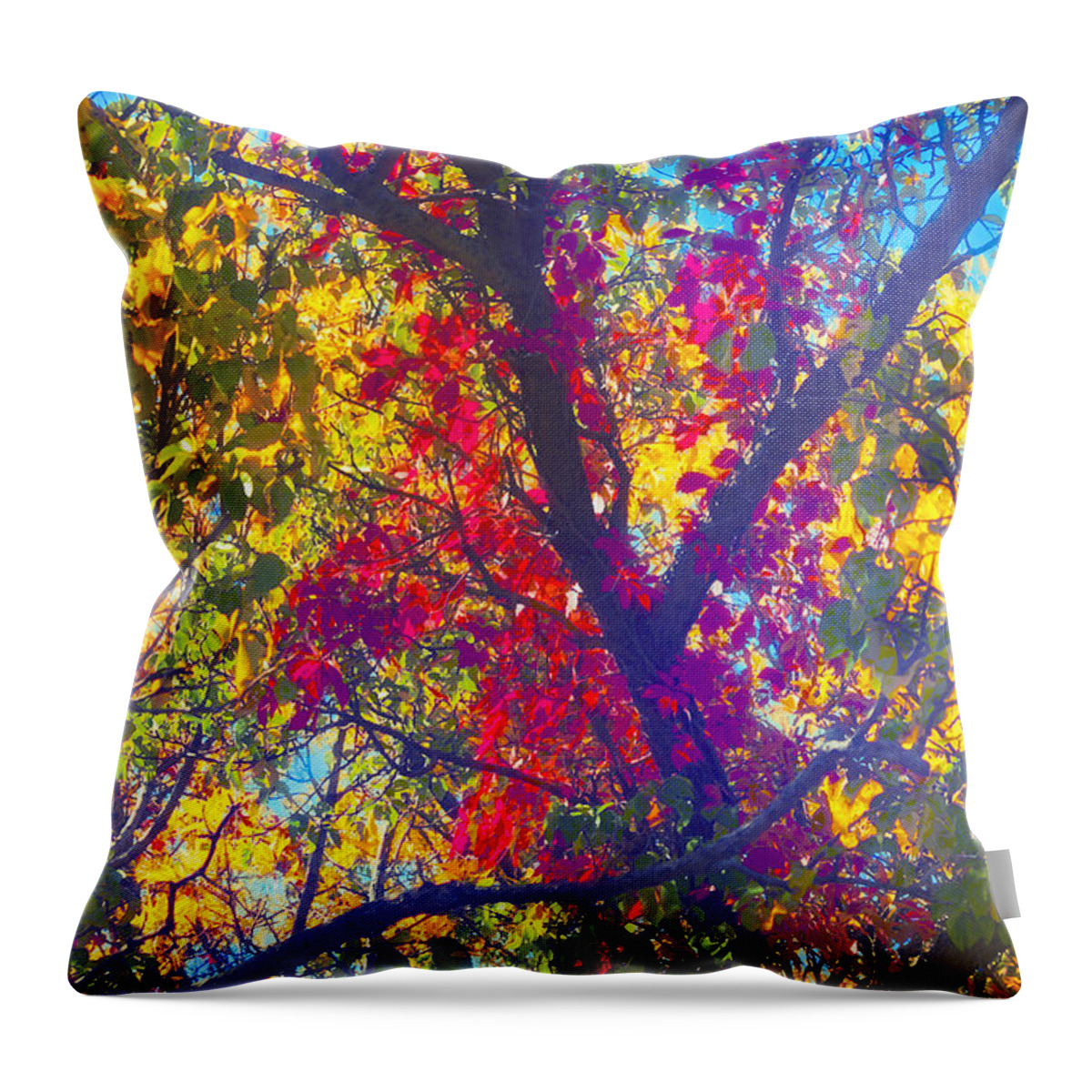 Fall Throw Pillow featuring the photograph Red #2 by Kathy Besthorn