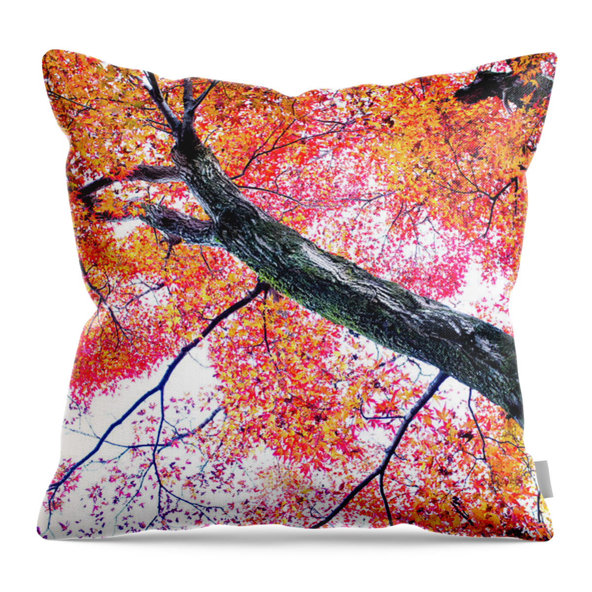 Tranquility Throw Pillow featuring the photograph Red Autumn Leaves Against Cloudy Sky by Marser