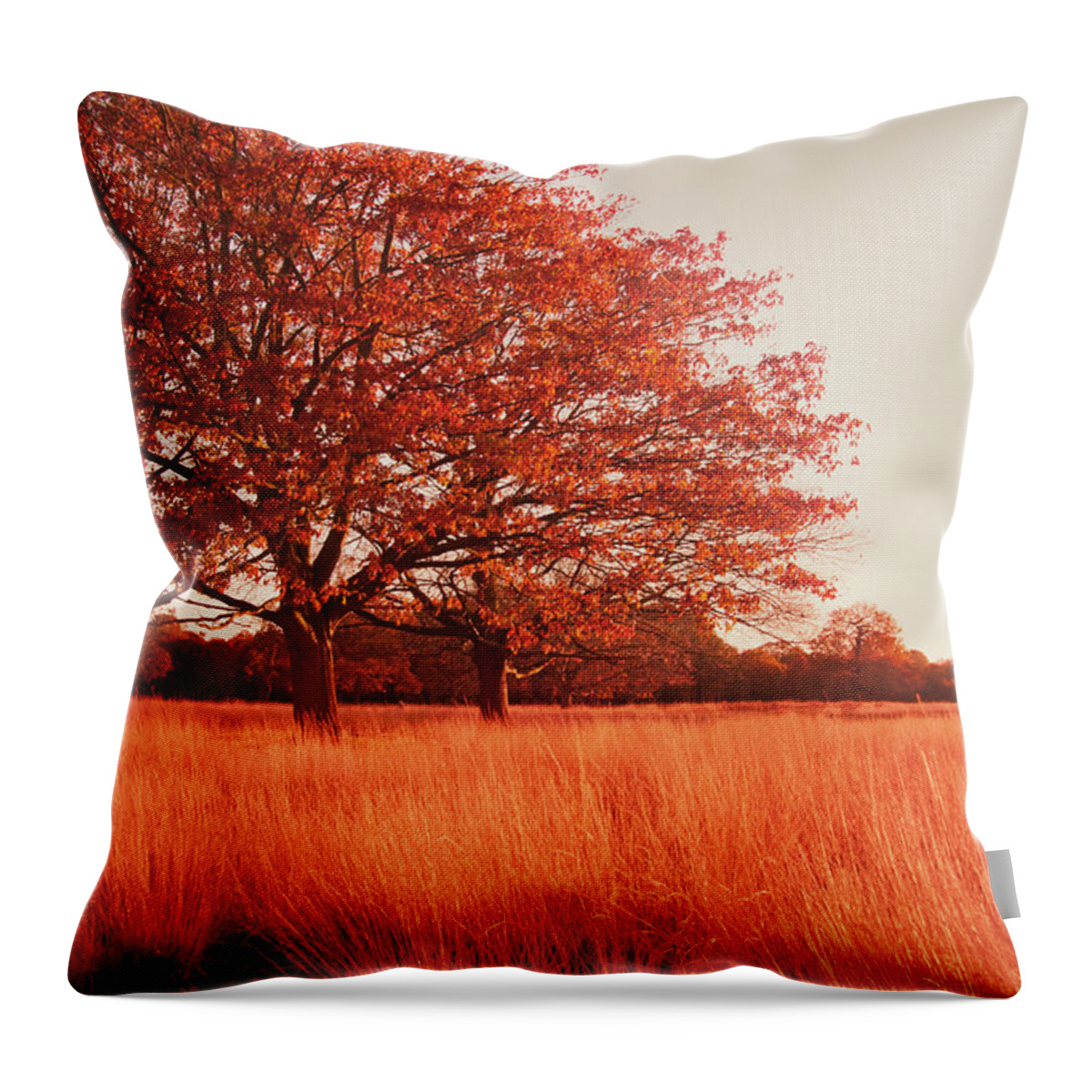 Autumn Throw Pillow featuring the photograph Red Autumn by Violet Gray