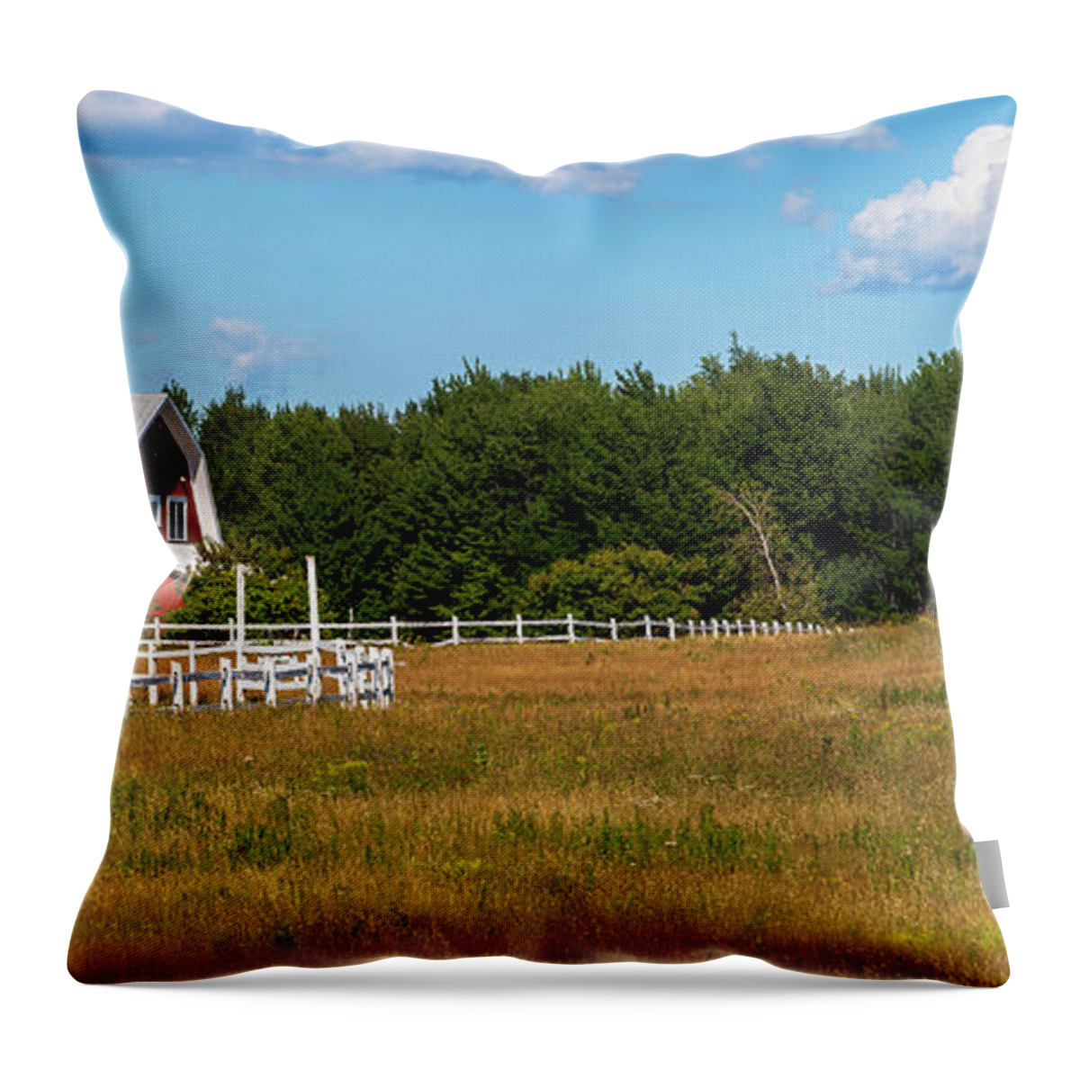 Photography Throw Pillow featuring the photograph Red Barn In Meadow, Knowlton, Quebec by Panoramic Images