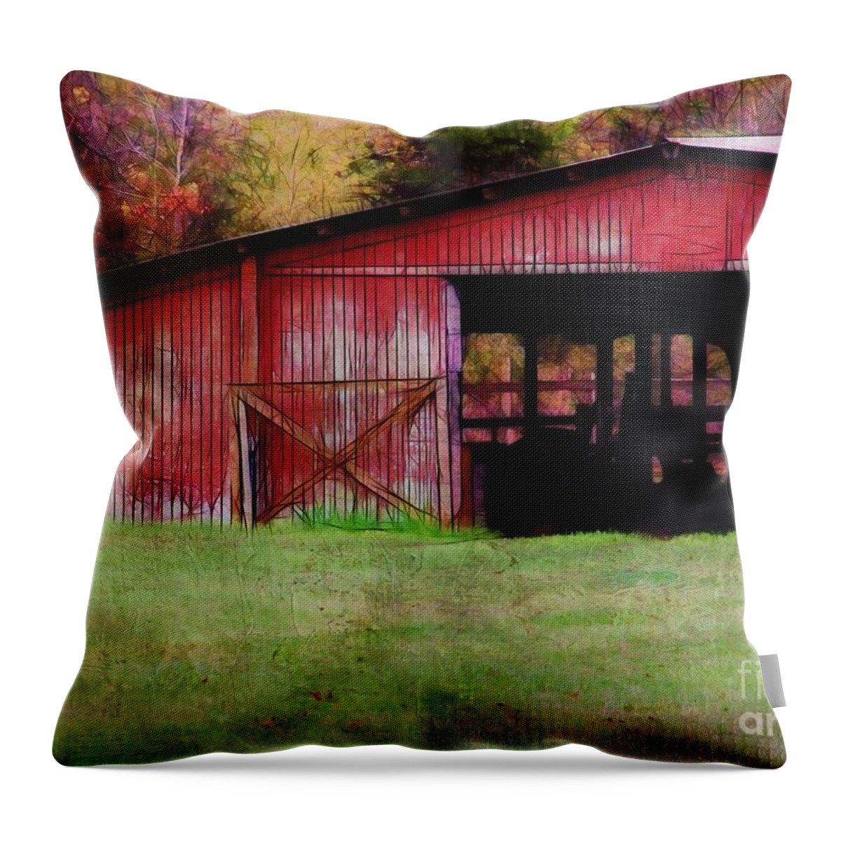 Barn Throw Pillow featuring the photograph Red Barn by Judi Bagwell