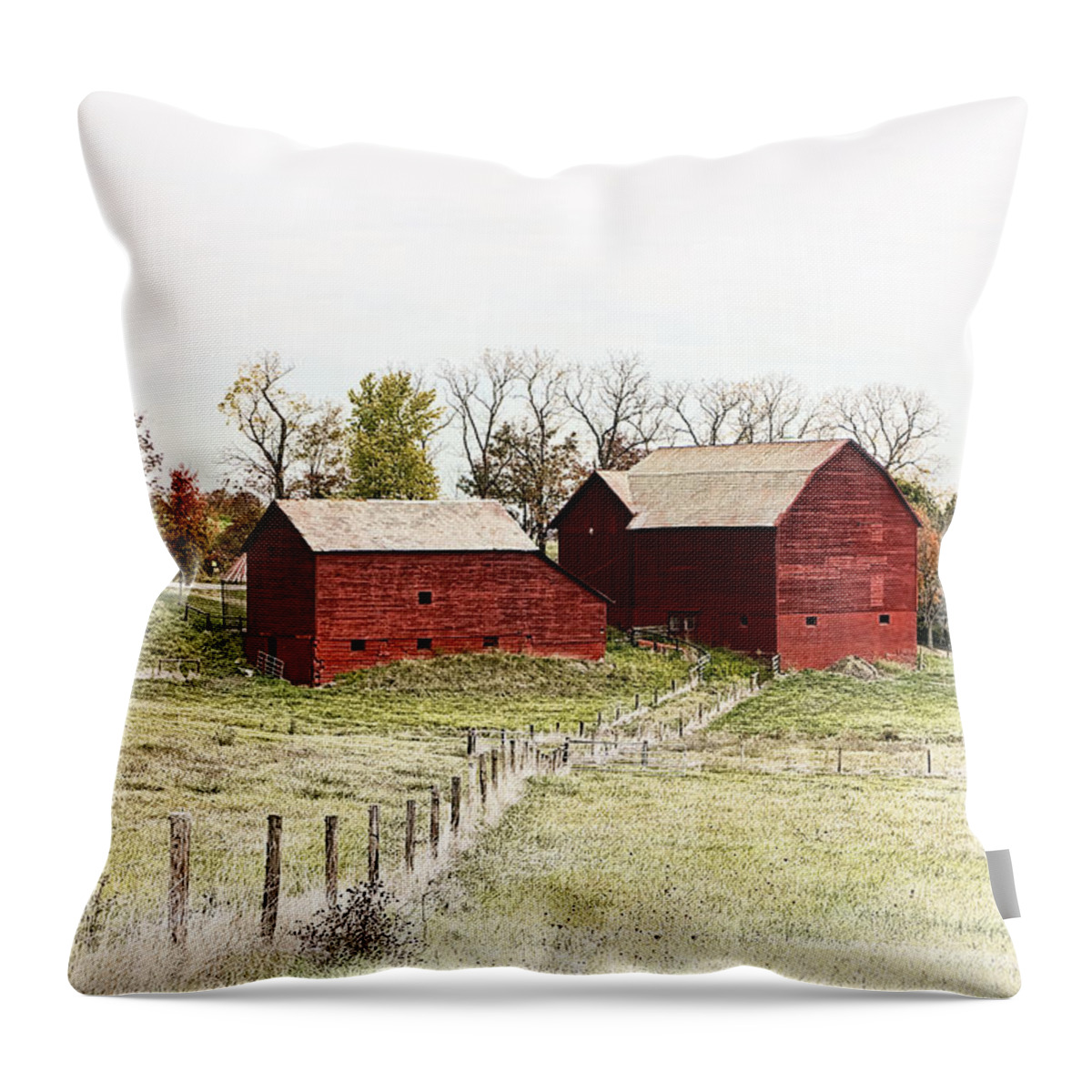 Red Barn Throw Pillow featuring the photograph Red Barn by Marcia Colelli