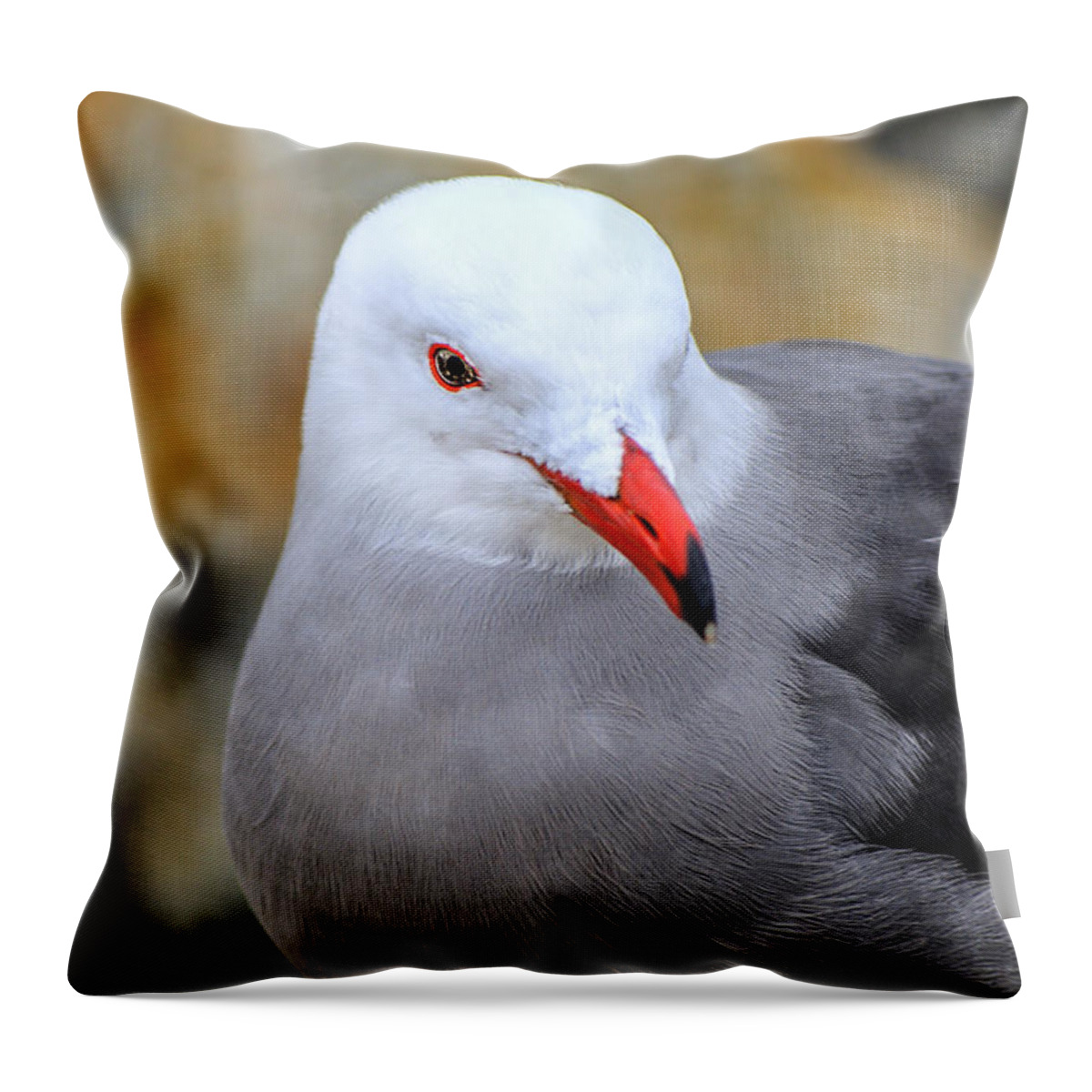 Seagull Throw Pillow featuring the photograph Red Beak Seagull Portrait by Diego Re