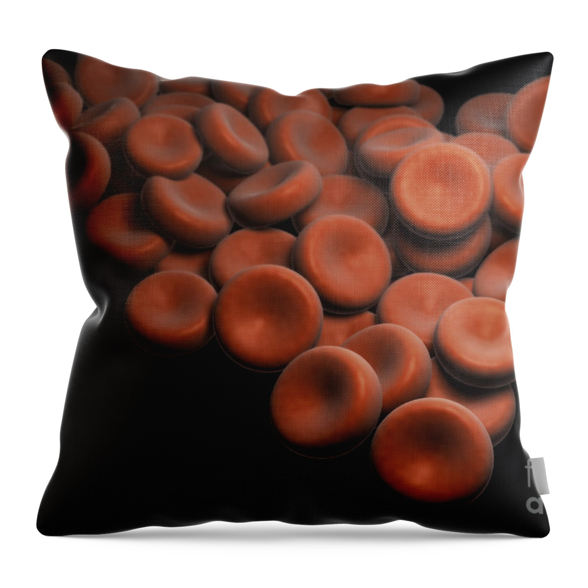 Cells Throw Pillow featuring the photograph Red Blood Cells by Science Picture Co