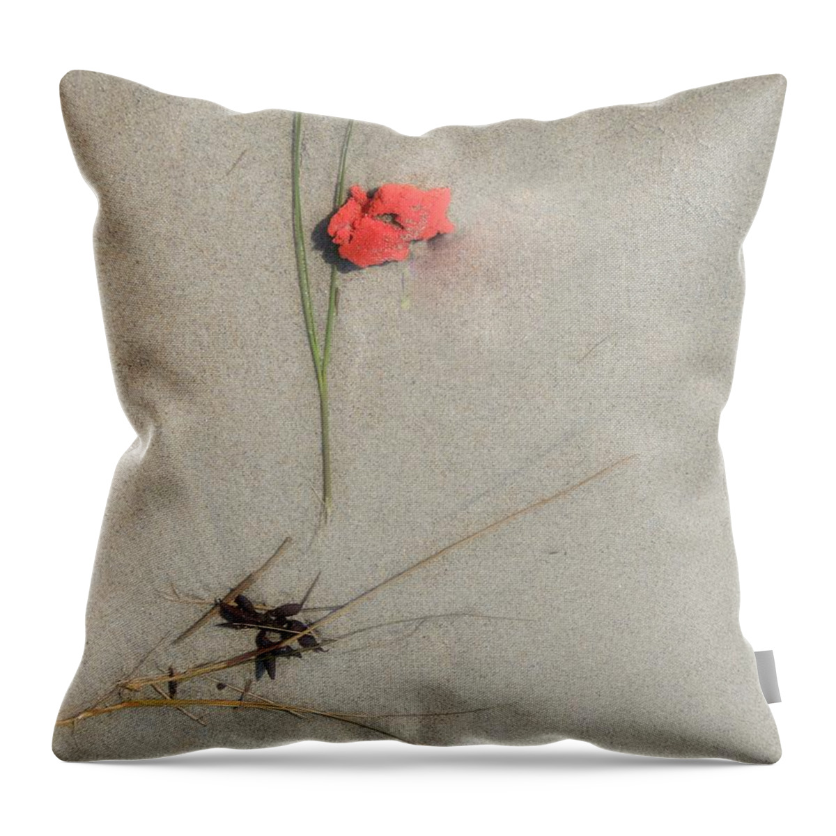 Marcia Lee Jones Throw Pillow featuring the photograph Red Blossom 6 by Marcia Lee Jones