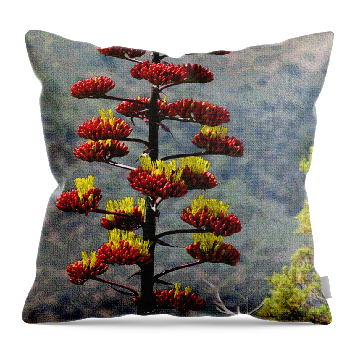 Red Bud Agave Yellow Flowers Throw Pillow featuring the photograph Red Bud Agave Yellow Flowers by Tom Janca