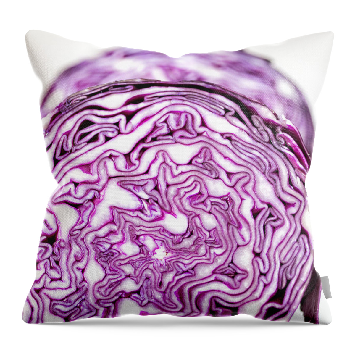 Food Throw Pillow featuring the photograph Red cabbage by Paulo Goncalves