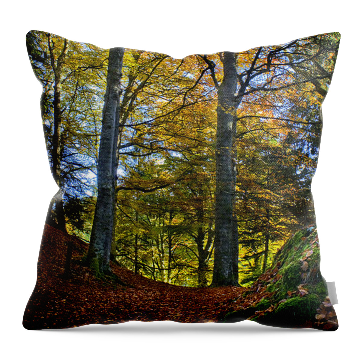 Path Throw Pillow featuring the photograph Red carpet in reelig glen during Autumn by Joe MacRae
