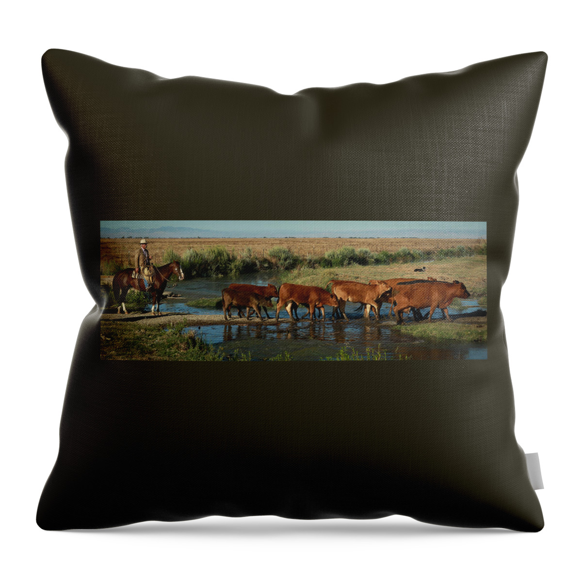Cattle Throw Pillow featuring the photograph Red Cattle by Diane Bohna
