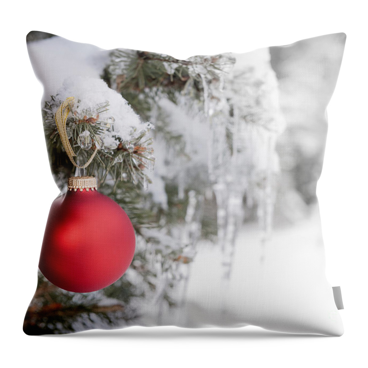 Christmas Throw Pillow featuring the photograph Red Christmas ornament on icy tree by Elena Elisseeva