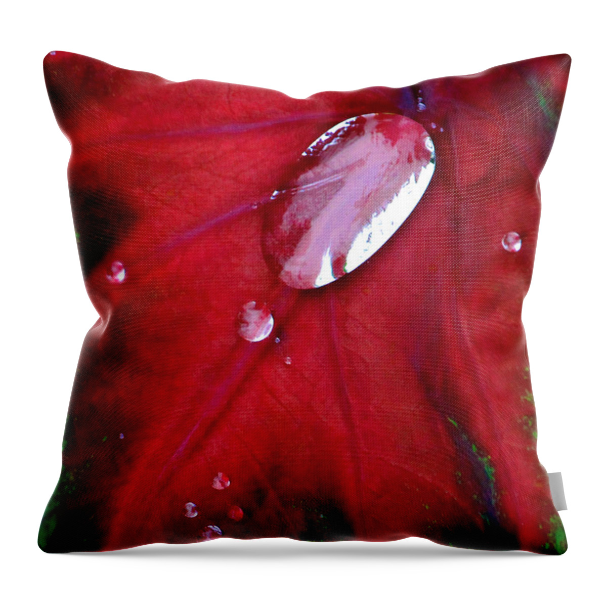 Coleus Throw Pillow featuring the photograph Red Coleus Leaf by Jeanette C Landstrom