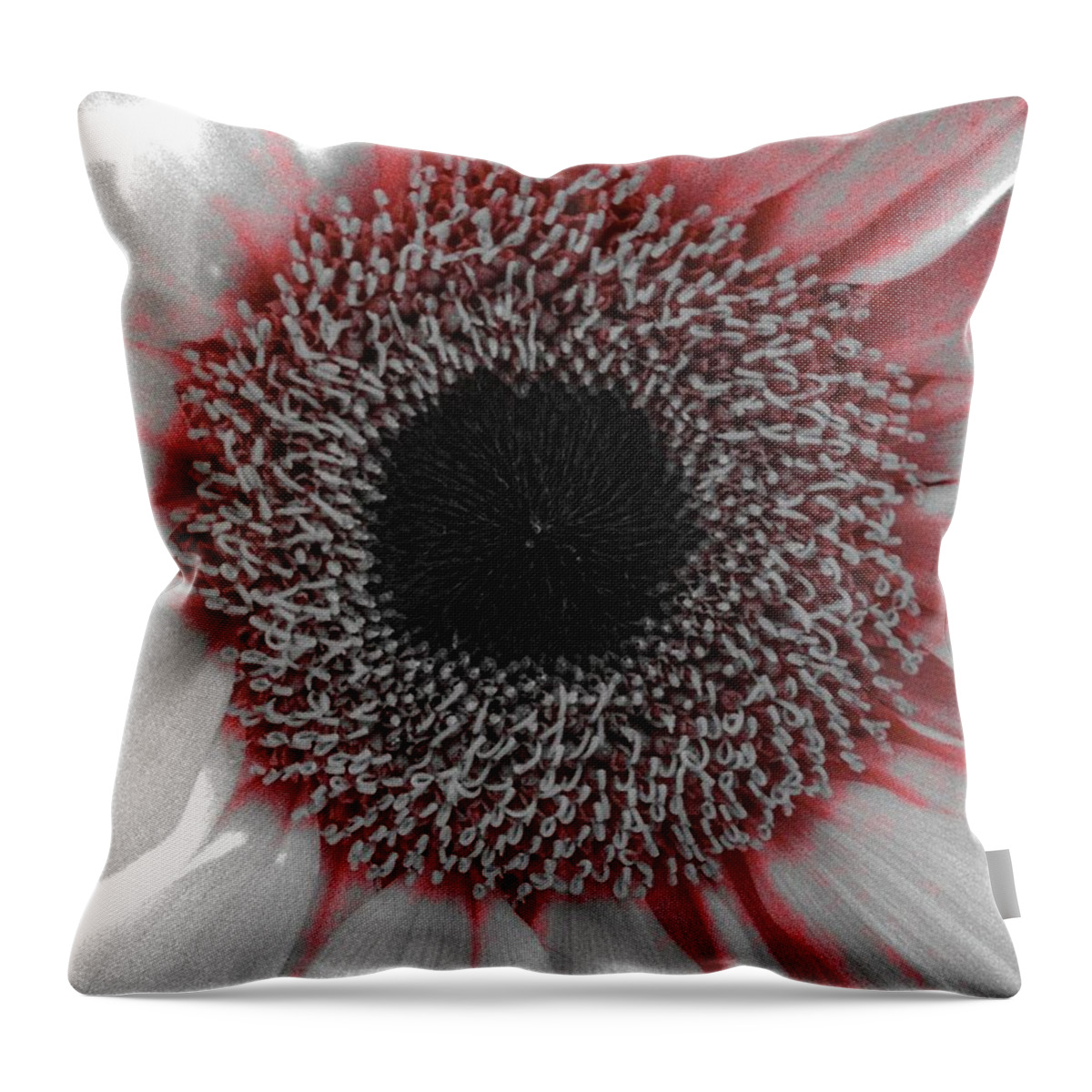 Daisy Throw Pillow featuring the photograph Red Delight by Marian Lonzetta