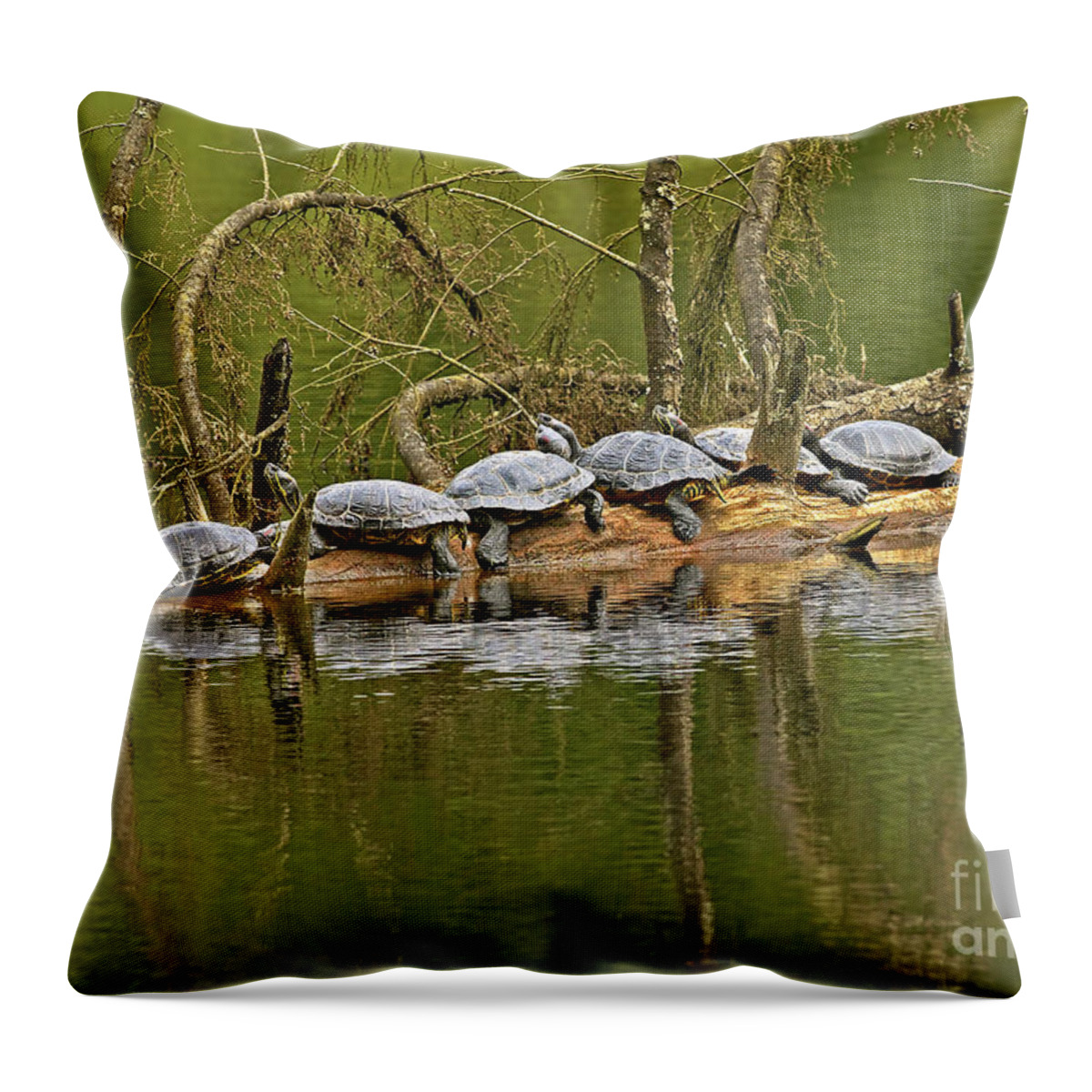 Red-eared Slider Turtles Throw Pillow featuring the photograph Red Eared Slider Turtles 2 by Sharon Talson