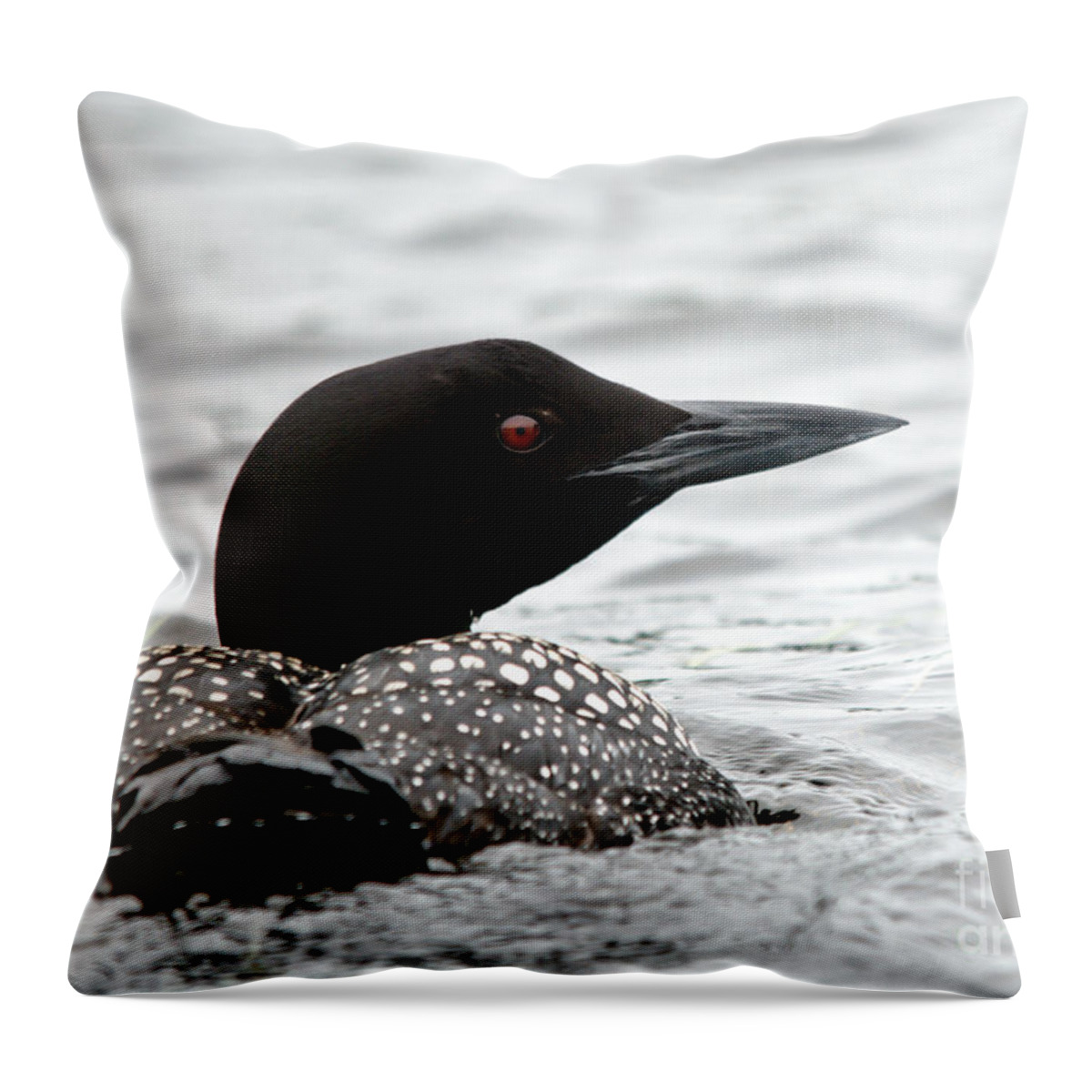 Common Loon Throw Pillow featuring the photograph Red Eye by Cheryl Baxter