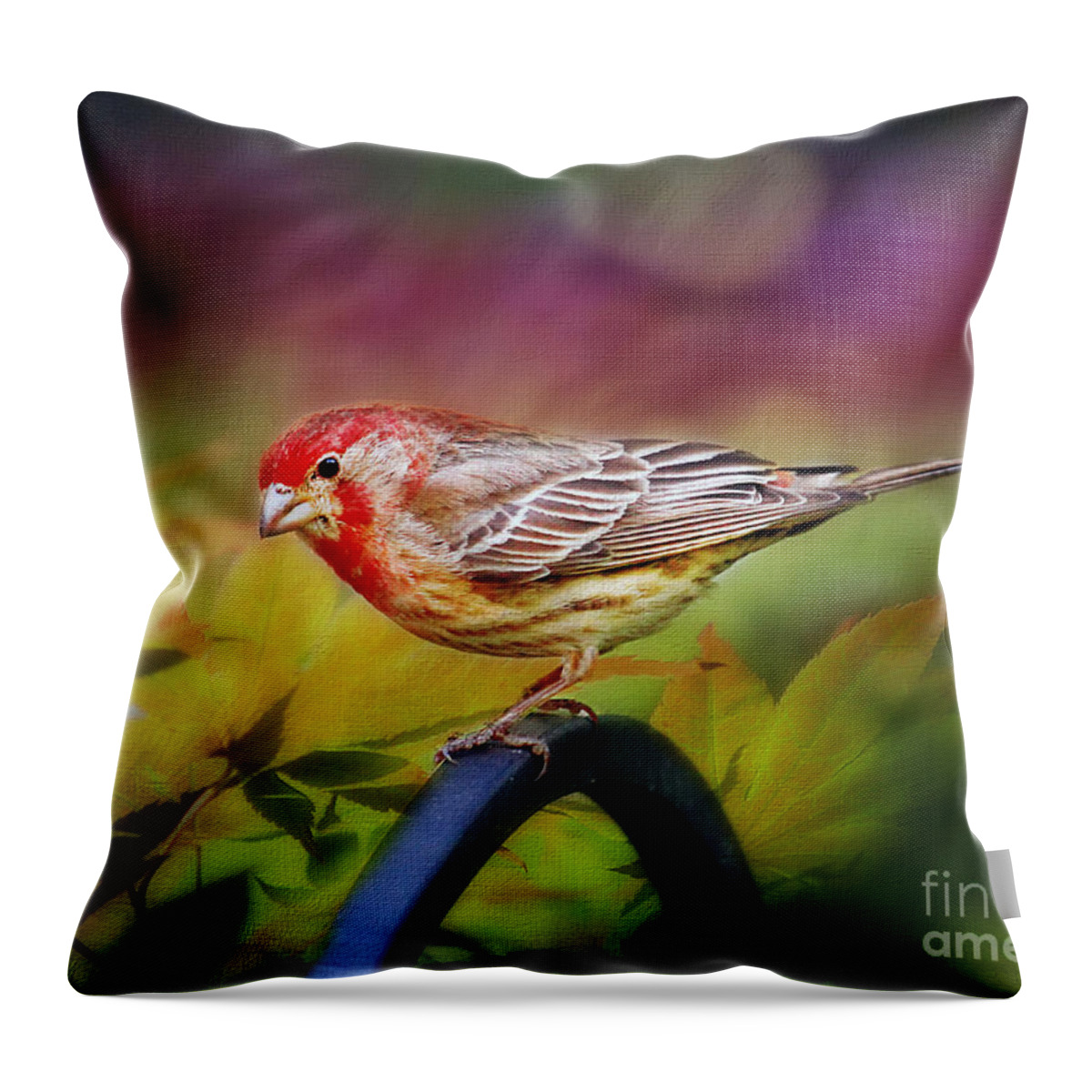 Leaves Throw Pillow featuring the photograph Red Finch by Darren Fisher
