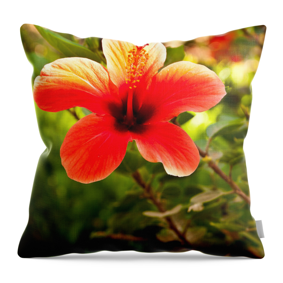  Throw Pillow featuring the photograph Red Flower by James Gay