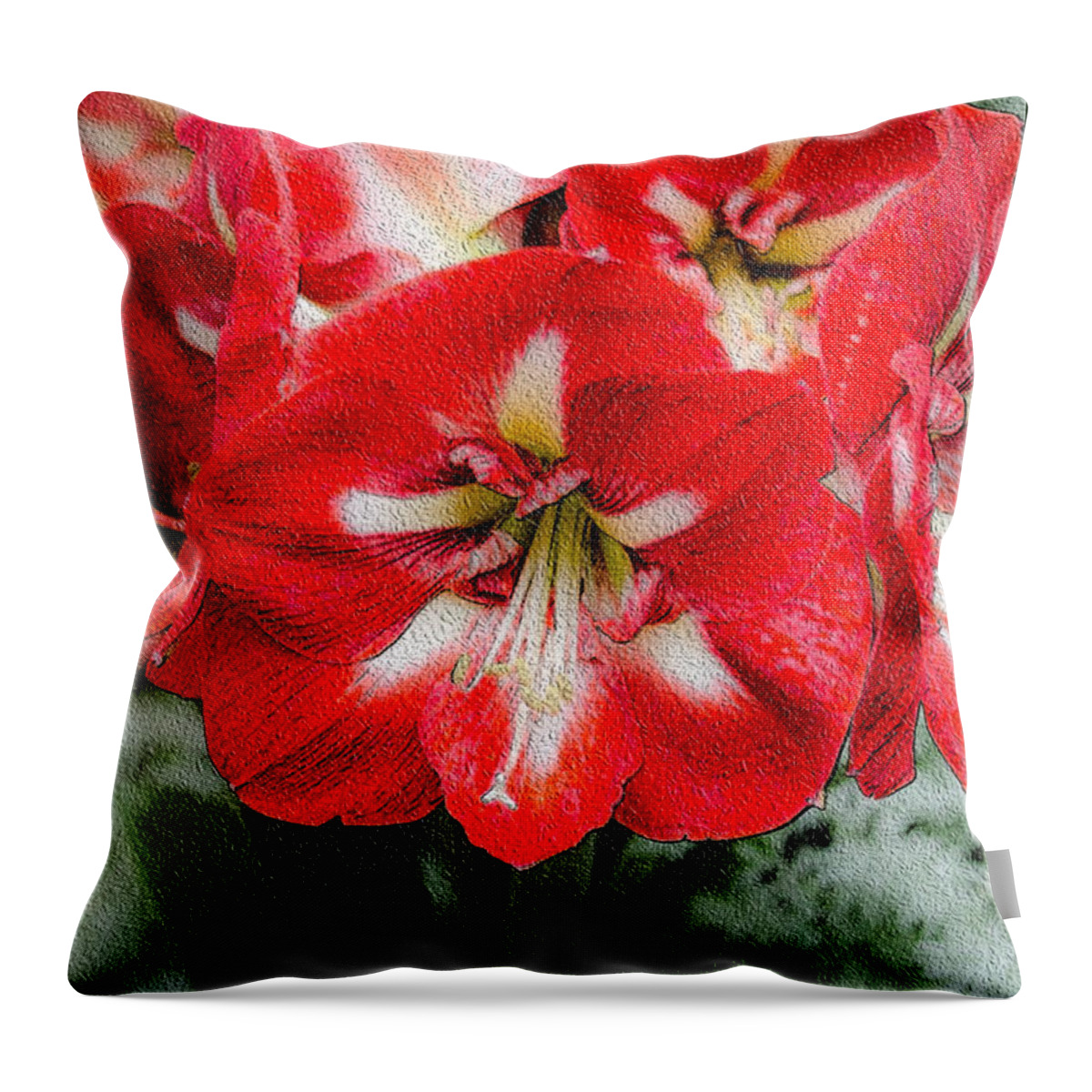 Flower Throw Pillow featuring the photograph Red Flower with Starburst by Crystal Wightman