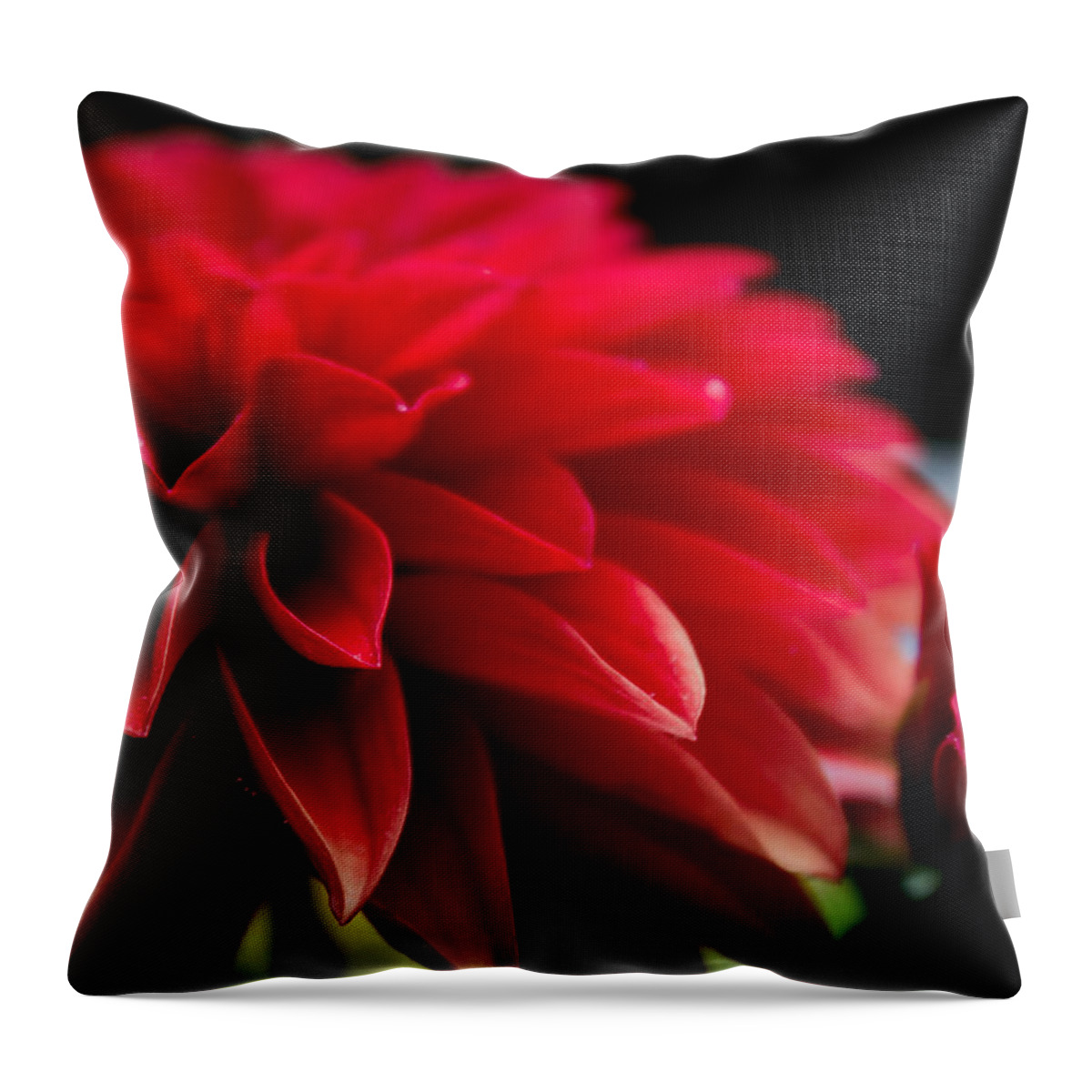 Flowers Throw Pillow featuring the photograph Red Flowers by Glenn DiPaola