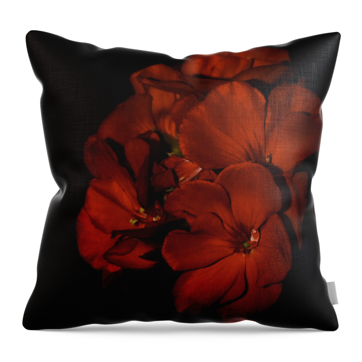 Red Throw Pillow featuring the photograph Red Flowers in Evening Light by Lucinda Walter