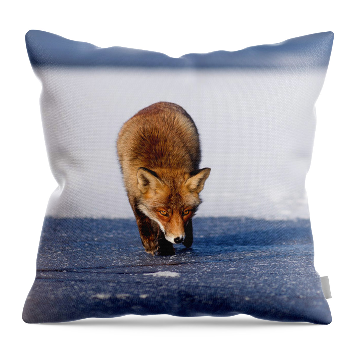 Adult Throw Pillow featuring the photograph Red fox crossing a frozen lake by Roeselien Raimond