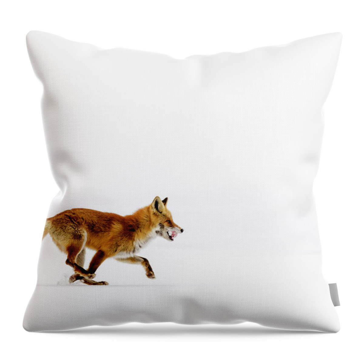 Hokkaido Throw Pillow featuring the photograph Red Fox Running In Snowy Landscape by Pixelchrome Inc