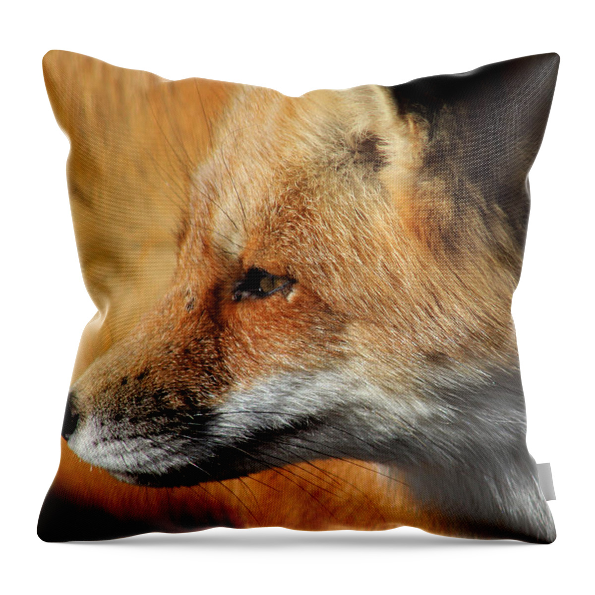 Red Fox Throw Pillow featuring the photograph Red Fox Shirley New York by Bob Savage