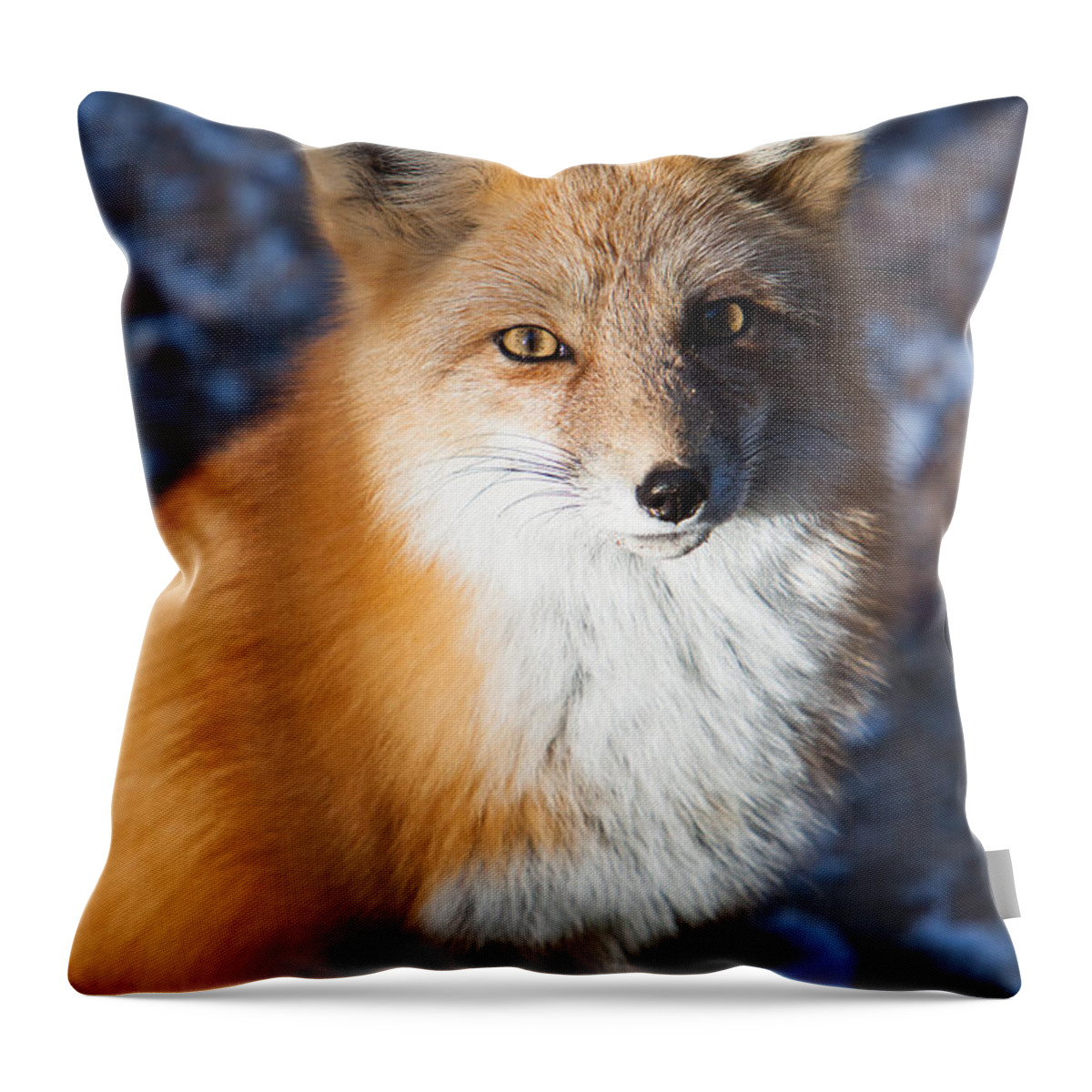 Animal Throw Pillow featuring the photograph Red Fox Standing by John Wadleigh