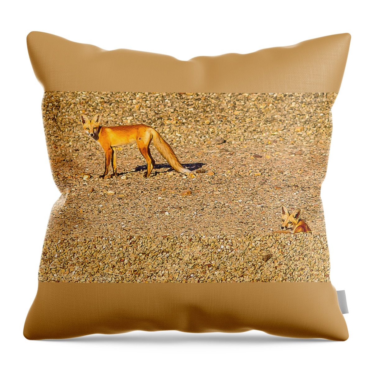 Red Foxes Nature Outdoors Wildlife All Prints Are Available In Prints Throw Pillow featuring the photograph Red Foxes by Brian Williamson