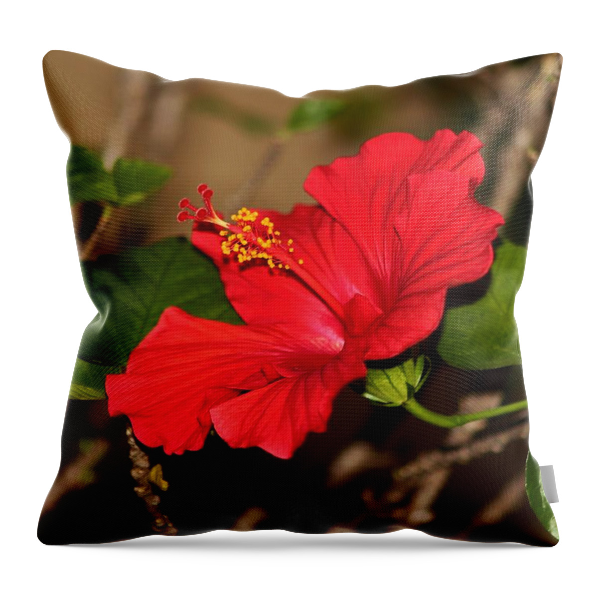 Red Throw Pillow featuring the photograph Red Hibiscus Flower by Cynthia Guinn
