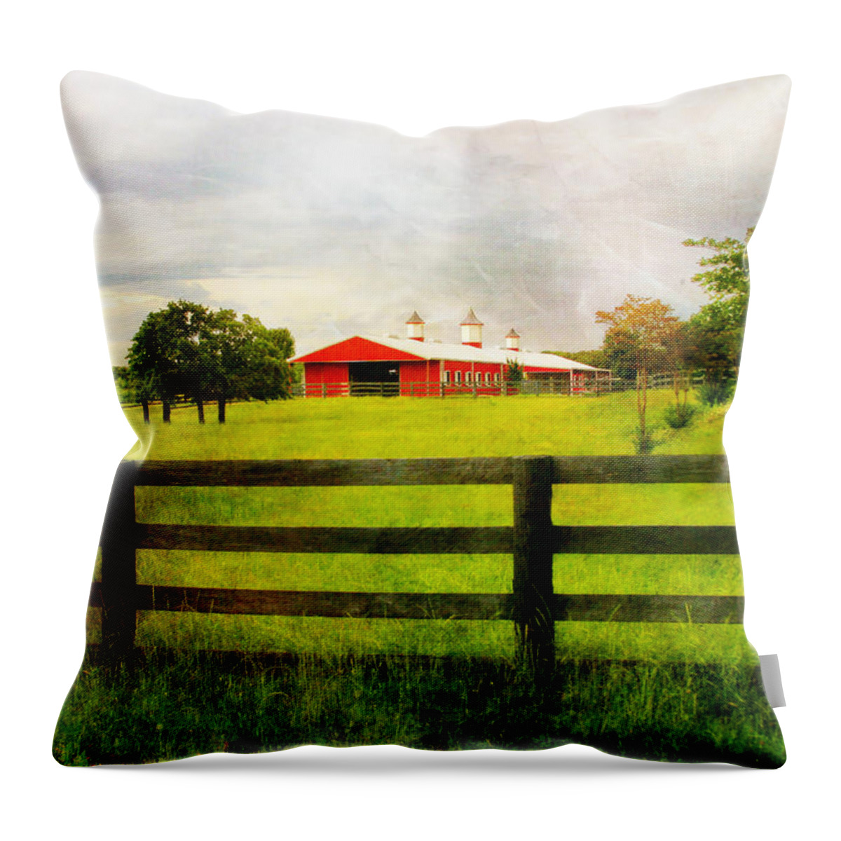 Barn Throw Pillow featuring the photograph Red Horse Barn by Joan Bertucci