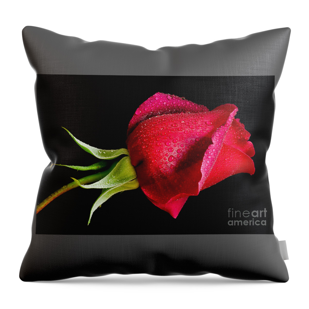 Oregon Throw Pillow featuring the photograph Red Hot by Nick Boren